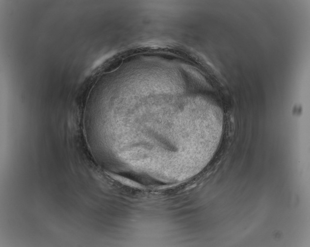 X0000090911158200708201734