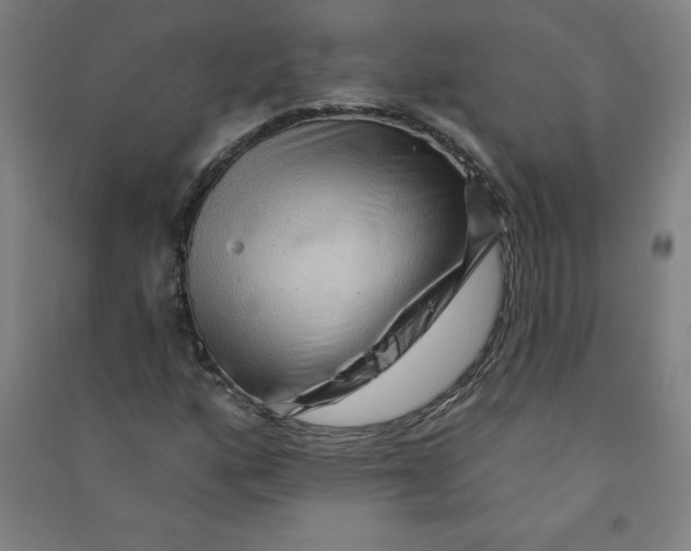 X0000090911160200708201734