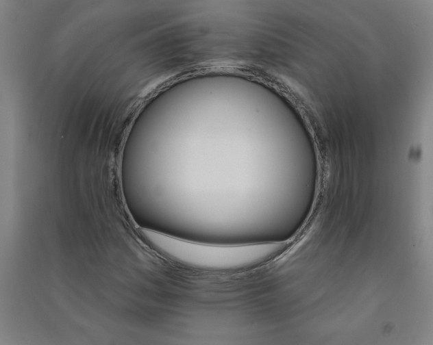 X0000090911161200708201734