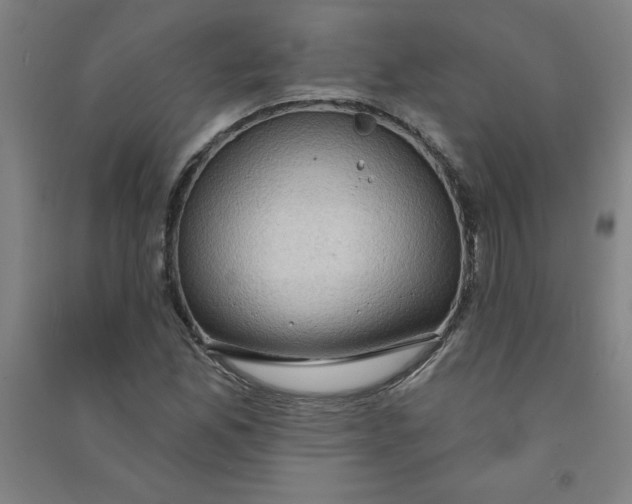 X0000090911165200708201734