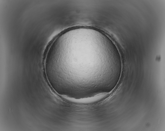 X0000090911168200708201734