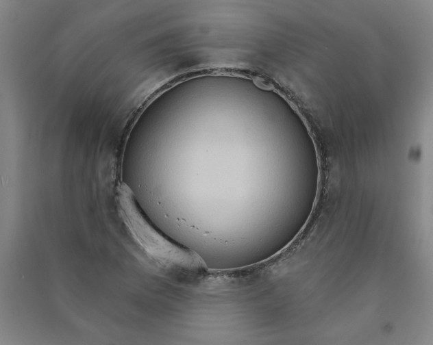 X0000090911169200708201734