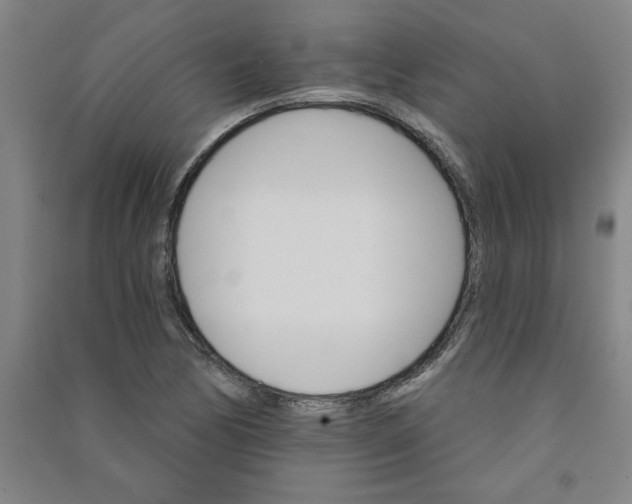 X0000090911170200708201734