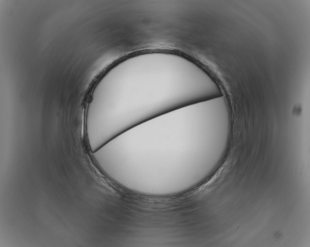 X0000090911171200708201734