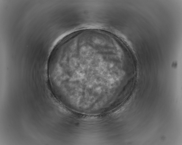 X0000090911174200708201734