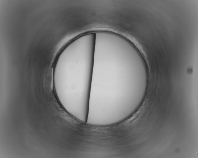 X0000090911175200708201734