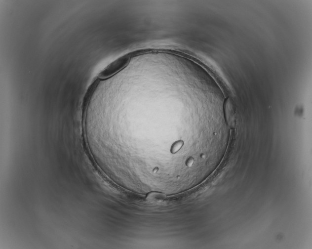 X0000090911176200708201734