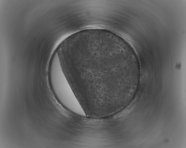 X0000090911179200708201734