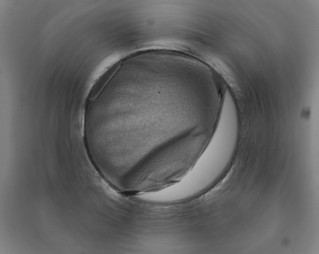 X0000090911180200708201734