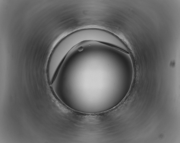 X0000090911181200708201734