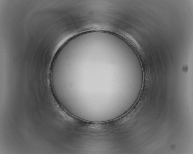 X0000090911182200708201734