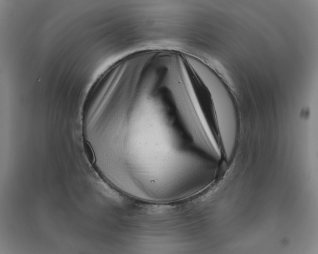 X0000090911184200708201734