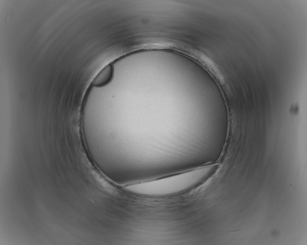 X0000090911186200708201734