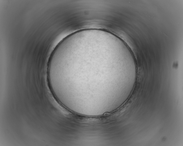 X0000090911187200708201734