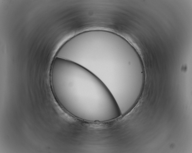 X0000090911189200708201734