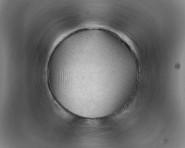 X0000090911191200708201734