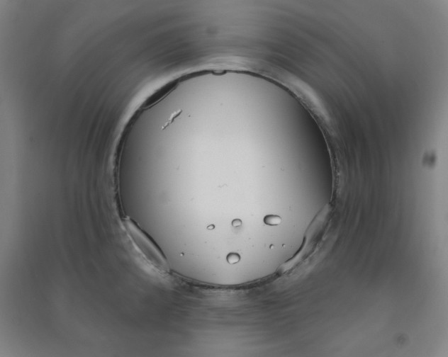 X0000090911192200708201734