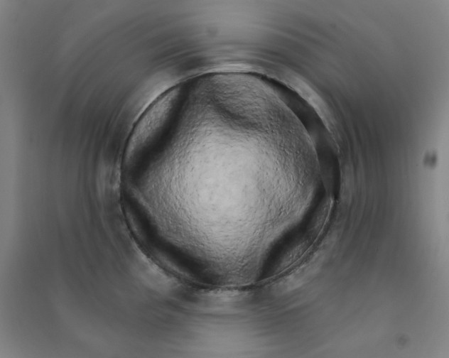 X0000090911193200708201734