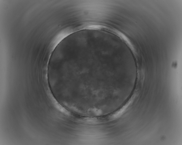 X0000090911194200708201734