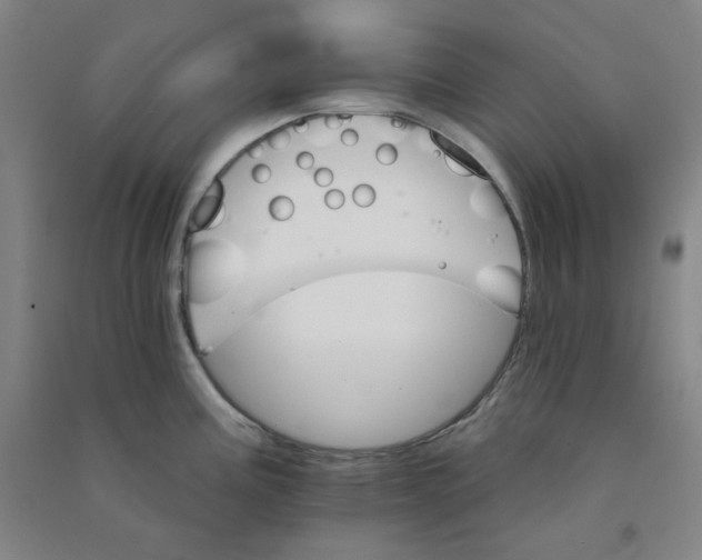 X0000090911195200708201734