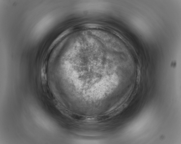 X0000090911198200708201734