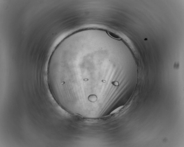 X0000090911199200708201734