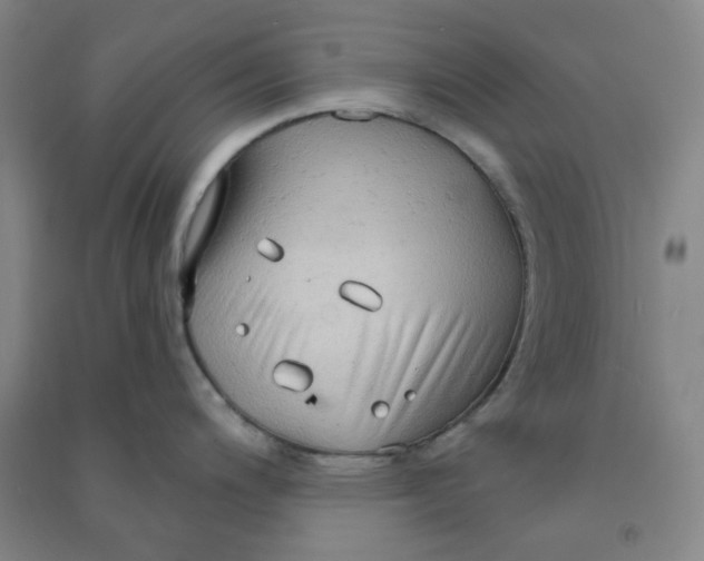 X0000090911200200708201734