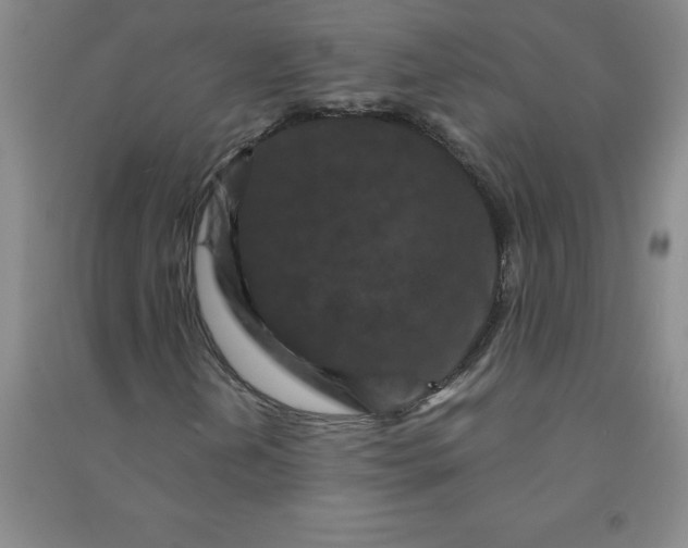 X0000090911202200708201733