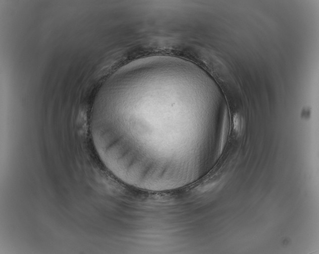 X0000090911203200708201733