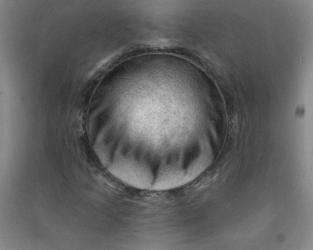 X0000090911205200708201733