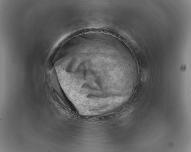 X0000090911208200708201733