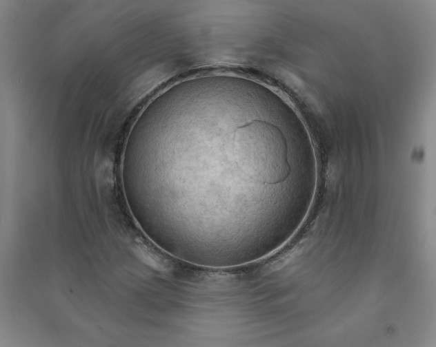 X0000090911209200708201733