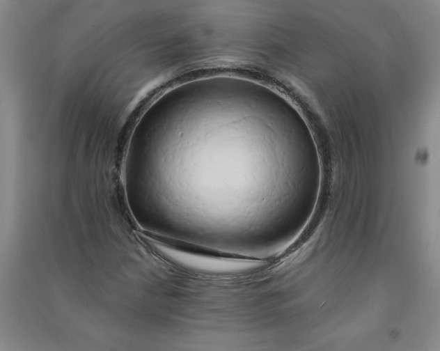 X0000090911210200708201733