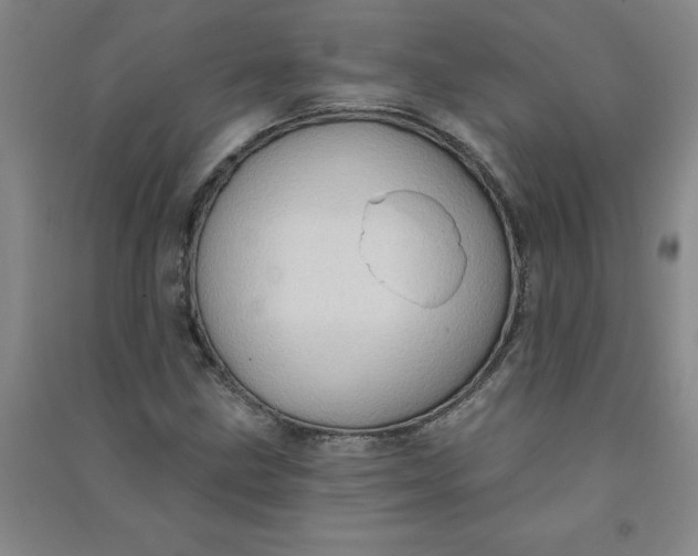 X0000090911211200708201733