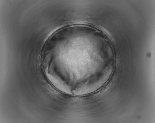 X0000090911212200708201733