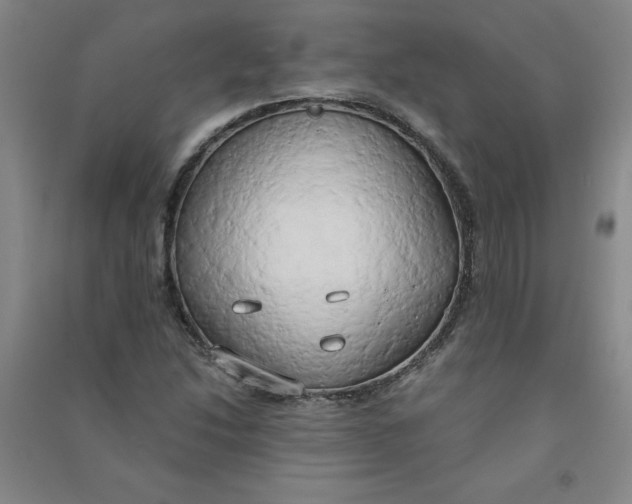 X0000090911214200708201733