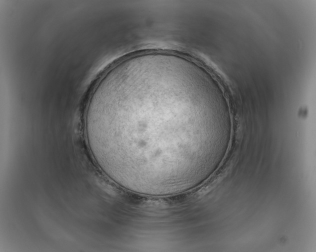 X0000090911215200708201733