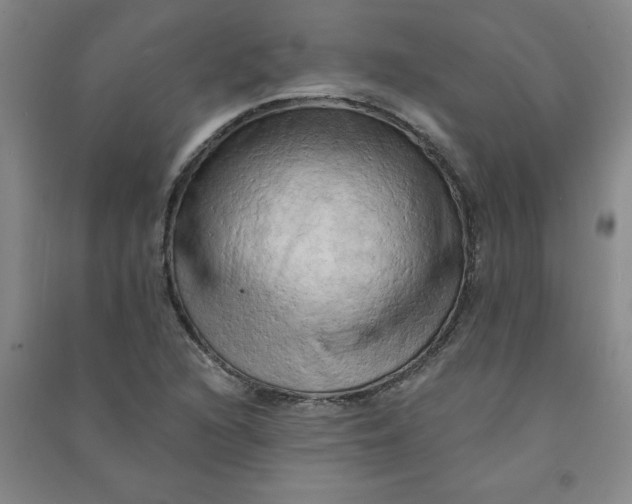 X0000090911216200708201733