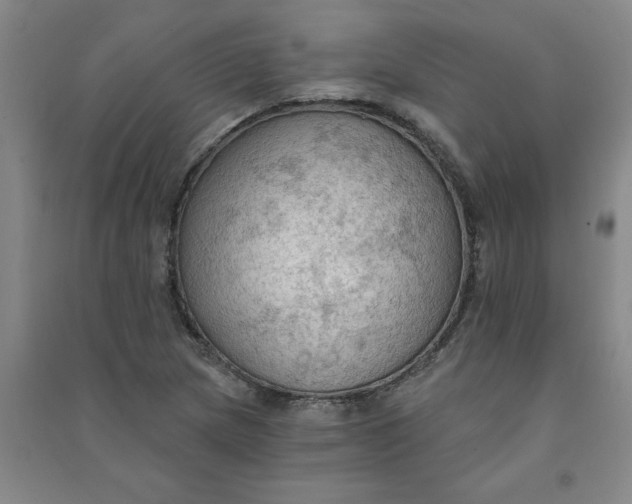 X0000090911217200708201733