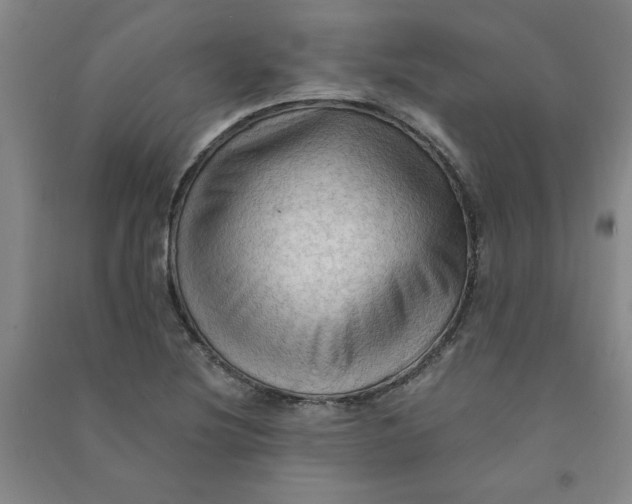 X0000090911220200708201733