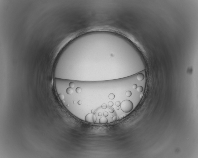 X0000090911221200708201733