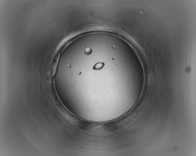 X0000090911222200708201733