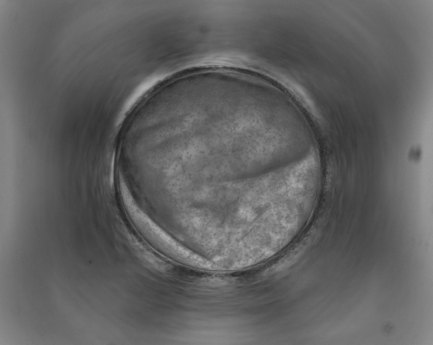 X0000090911224200708201733