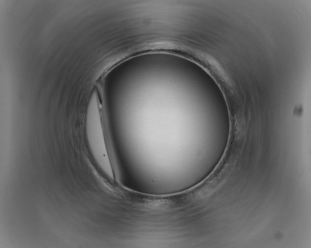 X0000090911225200708201733