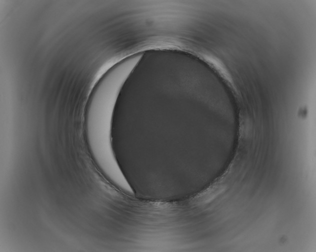 X0000090911226200708201733