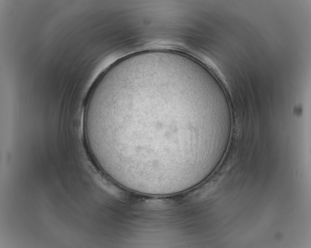 X0000090911227200708201733