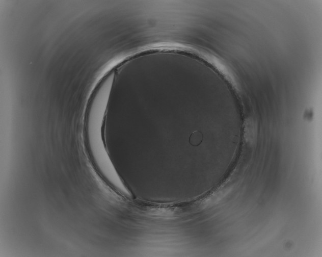 X0000090911229200708201733