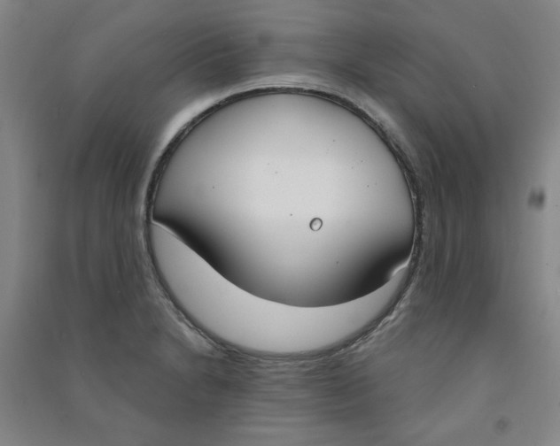 X0000090911230200708201733