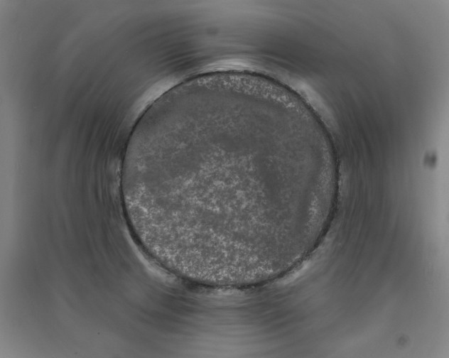 X0000090911233200708201733