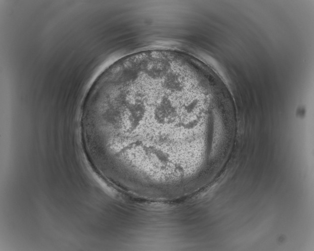 X0000090911235200708201733